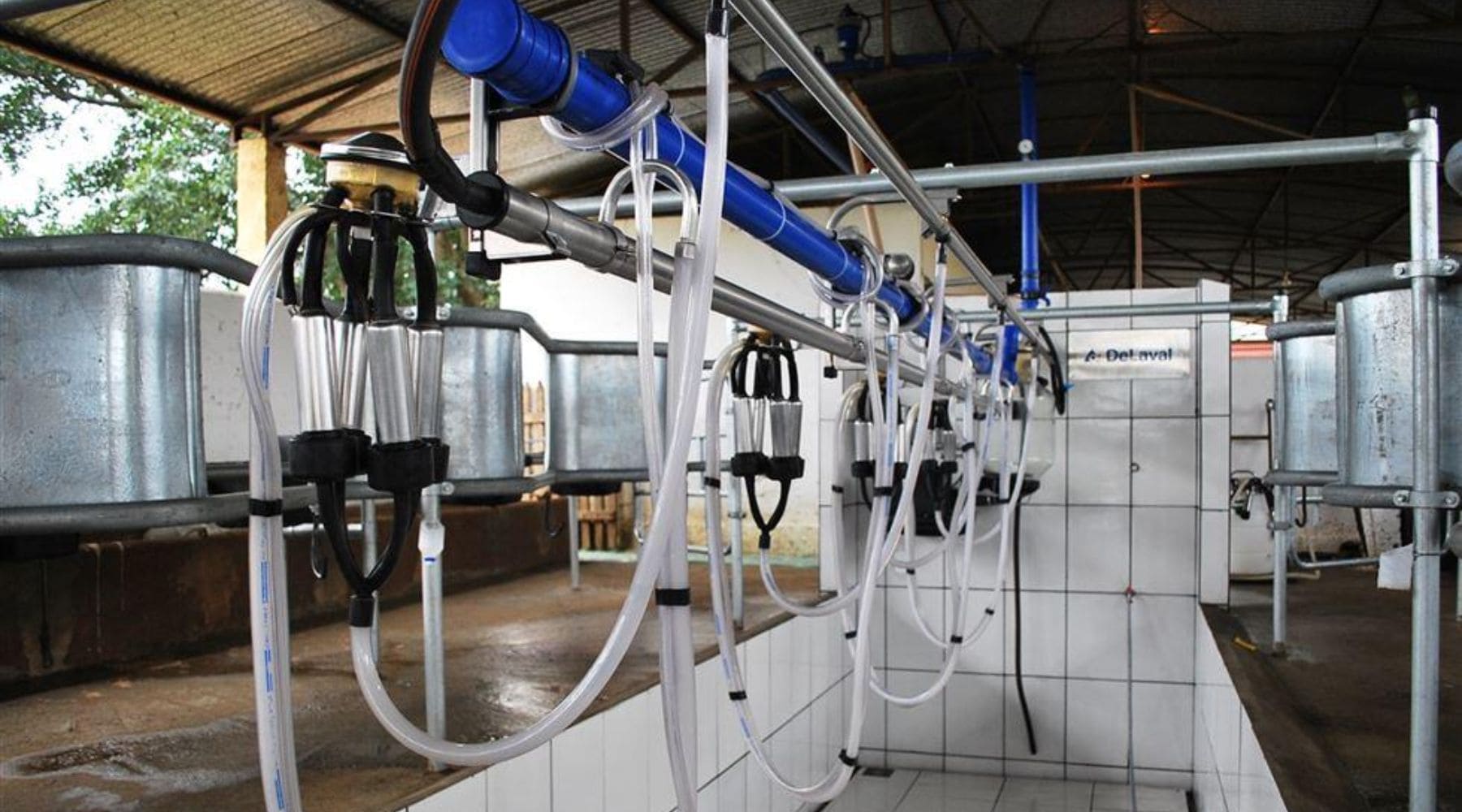 Máquinas, energia solar e irrigação: como planejar seu projeto rural