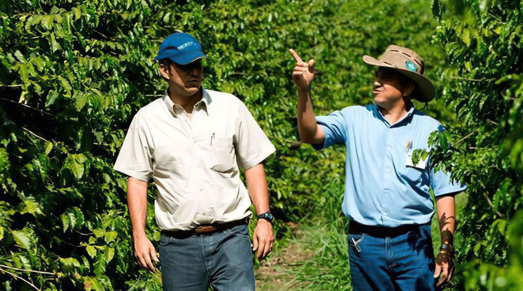 Licenciamento Ambiental: quando é necessário e como obter
